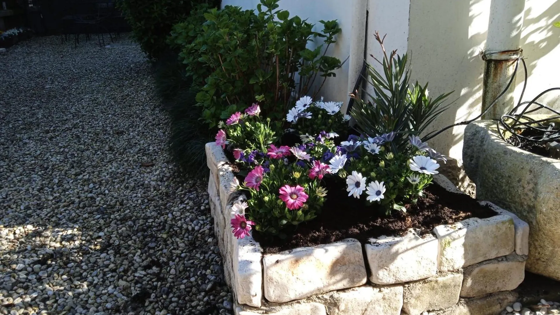 Dimora Castiglioni Villa Venedigs Lido
